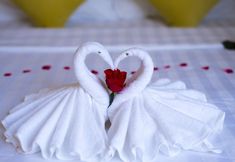 Others 7 Lavila Hoi An Homestay