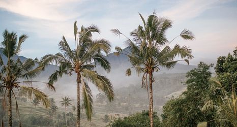 기타 2 Villa for Rent in Bali 2010