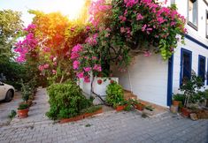 其他 2 Kaya Apart Datca