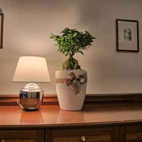 Reception1GFH - 貝洛宮飯店,Bolognola飯店