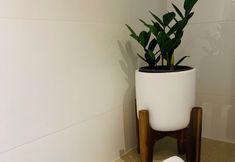 Others 7 The Little Darling of the Harbour