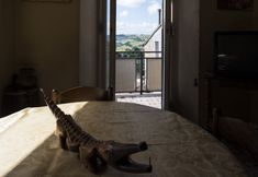 Others 3 The House Of Mario