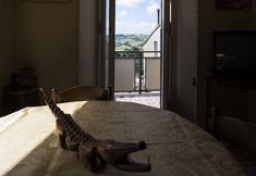 Khác 3 The House Of Mario