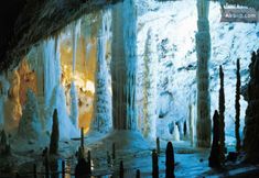 อื่นๆ 4 Dimora Del Padronedi Vasti Terreni a Mezzadria