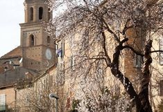 Khác 6 Dimora Del Padronedi Vasti Terreni a Mezzadria