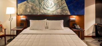 Others 4 Hilton Garden Inn Asuncion Aviadores del Chaco