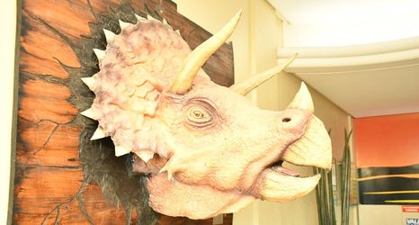 其他 2 Troodon Park Hotel