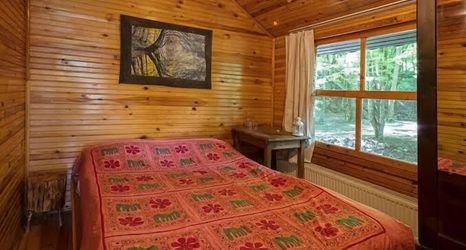 其他 2 Dikili Papaya Evleri Tatil Koyu