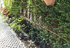 其他 4 PomPom Home