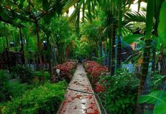 Others 3 Go Green Spice Eco Resort