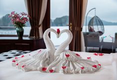 Lainnya 5 Dora Cruise