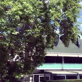 Primary image 1 Colorful Otel, Hotel Bilkent