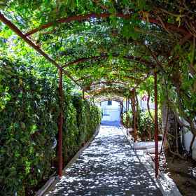 Primary image 1 Lyda Club Hotel - All Inclusive, Hotel Dimos Minoa Pediada