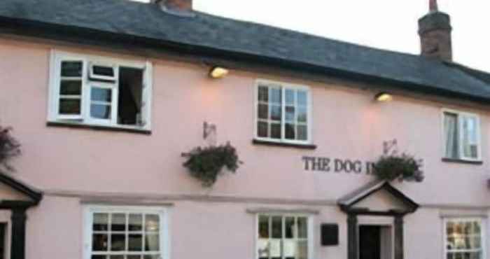 Others The Dog Inn