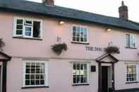 Others The Dog Inn