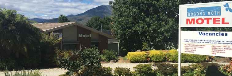 Others Bogong Moth Motel