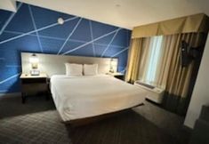 其他 7 Comfort Inn & Suites Frisco East - McKinney