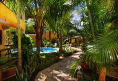 其他 2 Hotel Bosque Caribe , 5th Av Zone