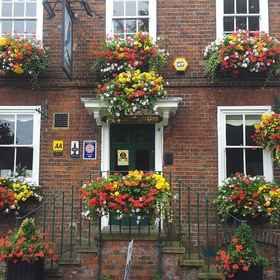 Primary image 1 팔콘 인, 피너 호텔