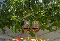 기타 7 Marisa Rooms