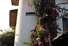 其他 4 Hemerans Anatolia Otel