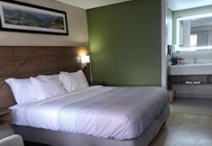 其他 5 Quality Inn