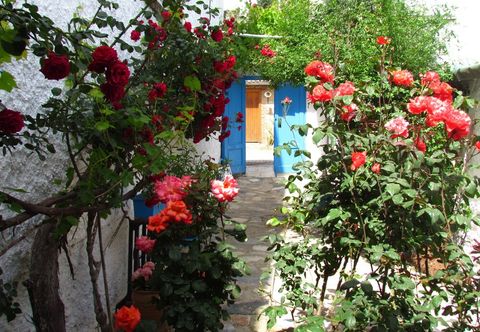 Lain-lain Amazon Antique