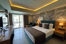 其他 Hotel Ambrosia