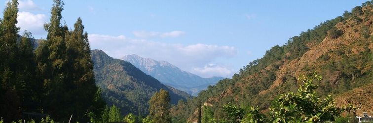 其他 Pastoral Vadi