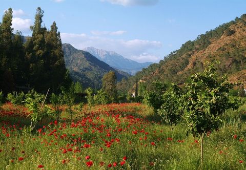 其他 Pastoral Vadi