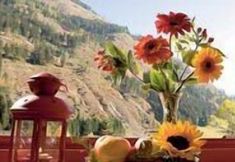 Lain-lain 7 JUFA Hotel Donnersbachwald