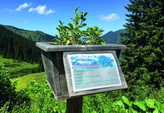 Lain-lain 2 JUFA Hotel Donnersbachwald