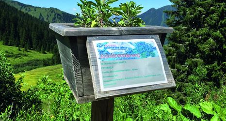 Others 2 JUFA Hotel Donnersbachwald