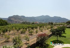 その他 7 SEDIR RESORT - Hotel Rooms, Bungalows & Suites