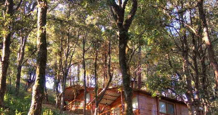 Lain-lain Aamod Resort - Shoghi