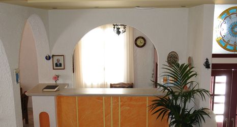 其他 2 Iliovasilema