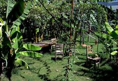 Others 4 Kardelen Apart Otel - Campground