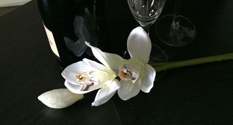 その他 2 First Domizil