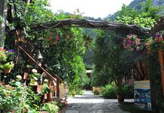 Others 2 Turkmen Tree Houses