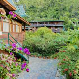 Primary image 1 Turkmen Tree Houses, Kemer Hotels