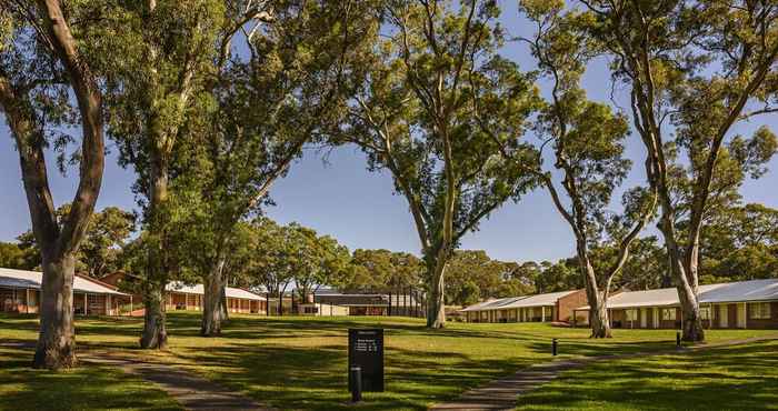 Khác Serafino McLaren Vale