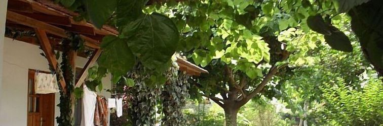 Others Cesur Pansiyon