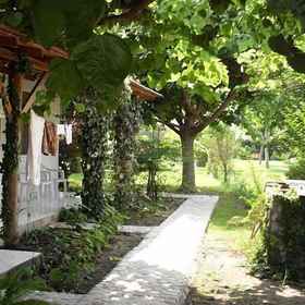 Primary image 1 Cesur Pansiyon, Kemer Hotels