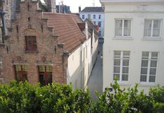 기타 4 Hotel Alegria