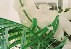 その他 2 Palmen Apart Hotel