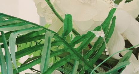 その他 2 Palmen Apart Hotel