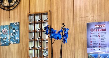 อื่นๆ 2 Kekova Hotel