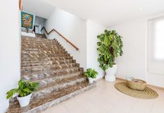 其他 4 Apartamentos Ros