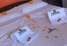 Lain-lain 4 Pousada Papagaio - Hostel