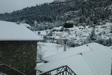 อื่นๆ Artemis Kallisti